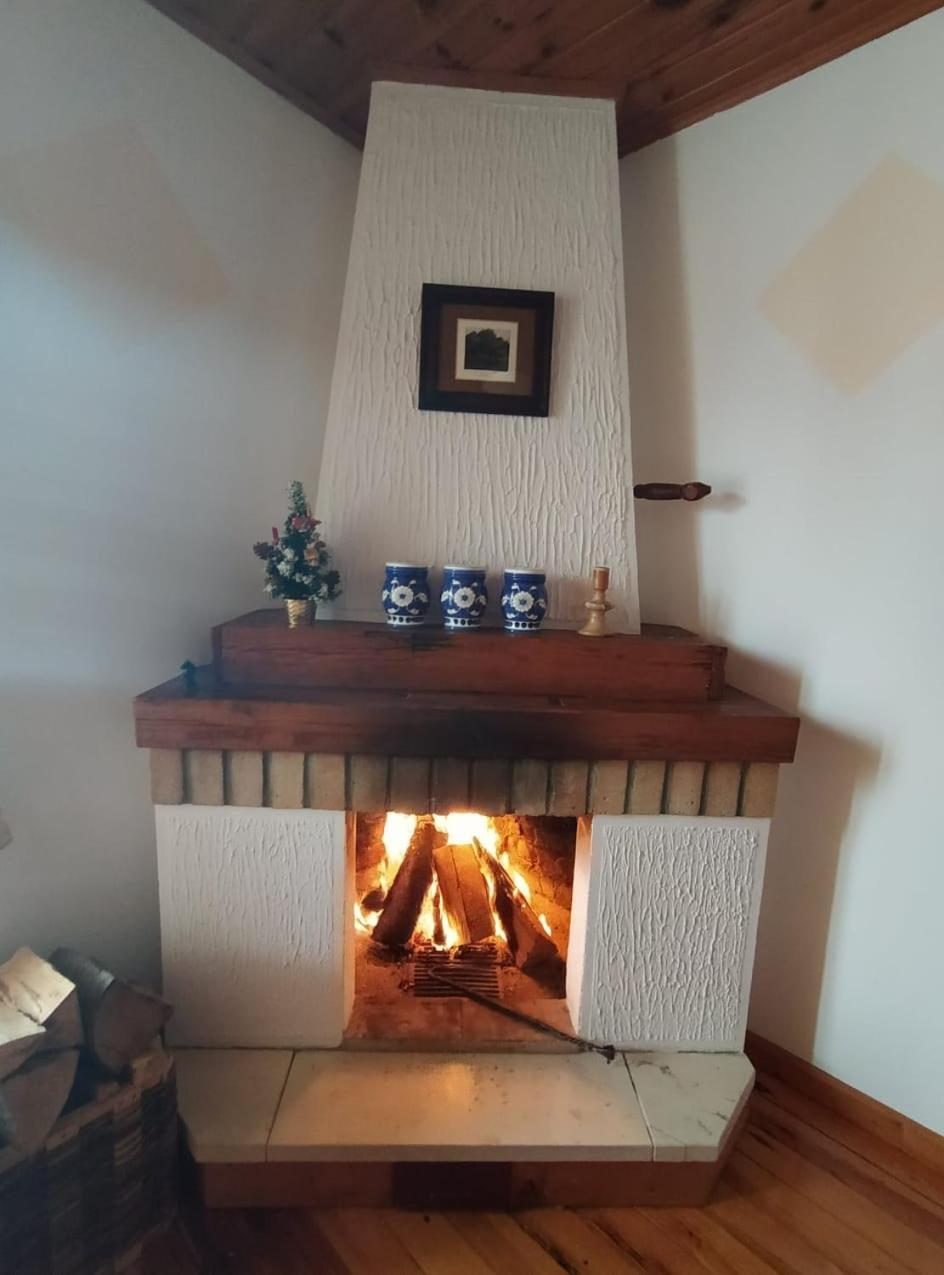 Apartmani Milić Sirogojno Cameră foto